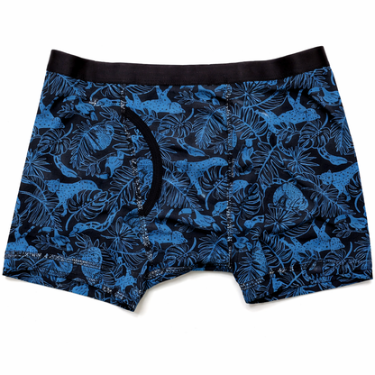Cat & Jack Boys Boxer Briefs Blue on Black