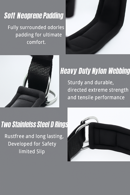 HeyDoggy! Soft Padded Reflective Dog Collar, Comfortable for Small to Large Dogs