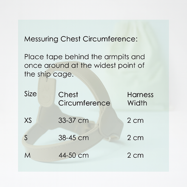 Measurement guide for a harness with chest circumference and harness width details.