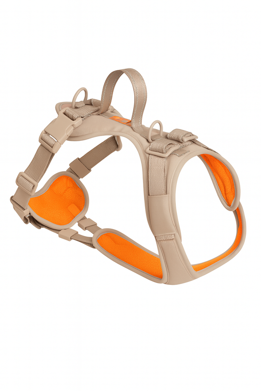 Premium Dog Harness for Comfortable Walks, Training, and Outdoor Adventures