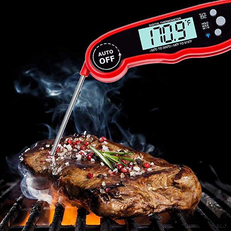 DT-68 Digital Food Thermometer with Foldable Probe