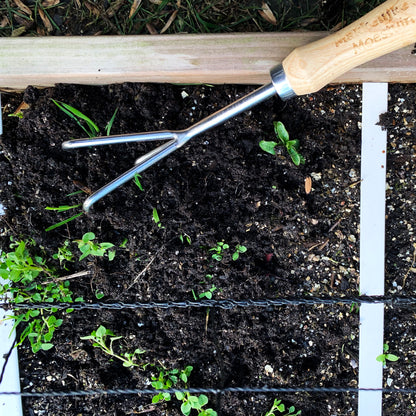 https://makkelijke-moestuin-staging.s3.eu-west-1.amazonaws.com/422/Harkje2.jpg