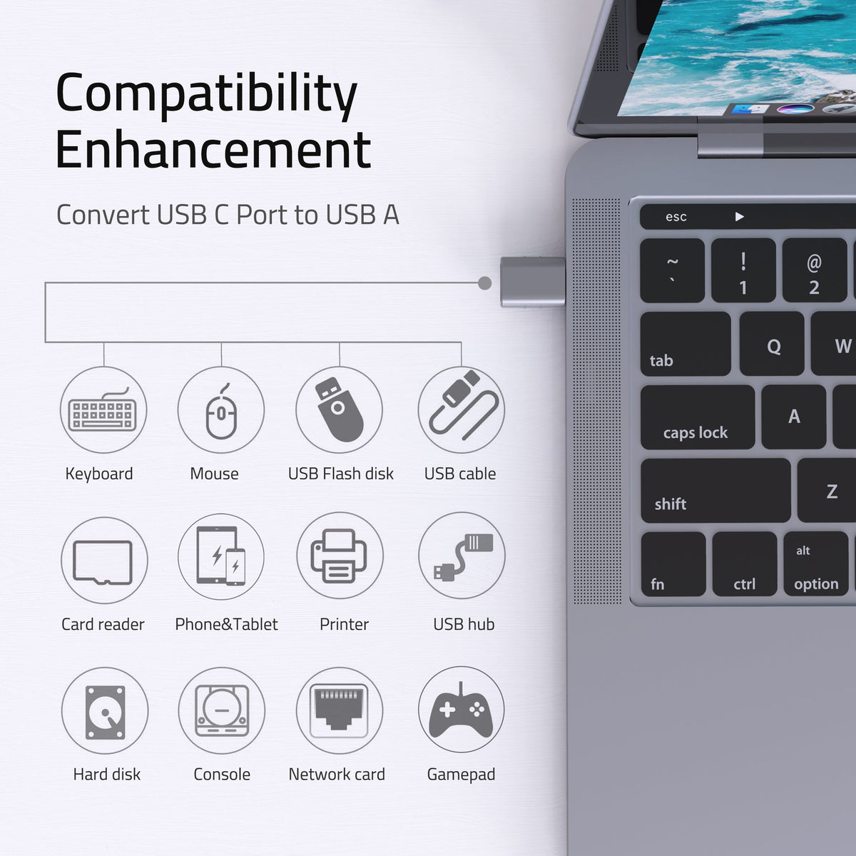 USB-C to USB 3.0 Adapter 2-Pack