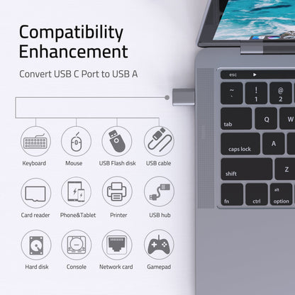 USB-C to USB 3.0 Adapter 2-Pack