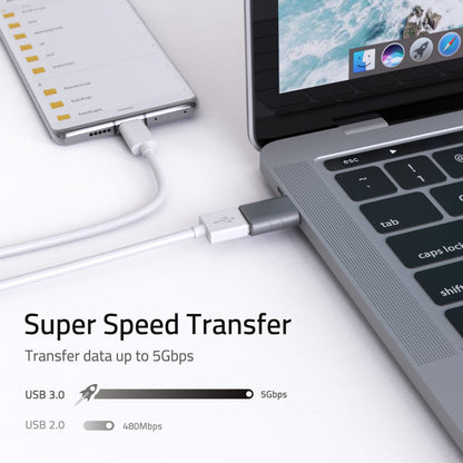 USB-C to USB 3.0 Adapter 2-Pack