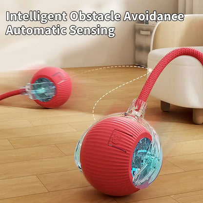 ZEEJAY Interactive Smart Cat Ball Toy