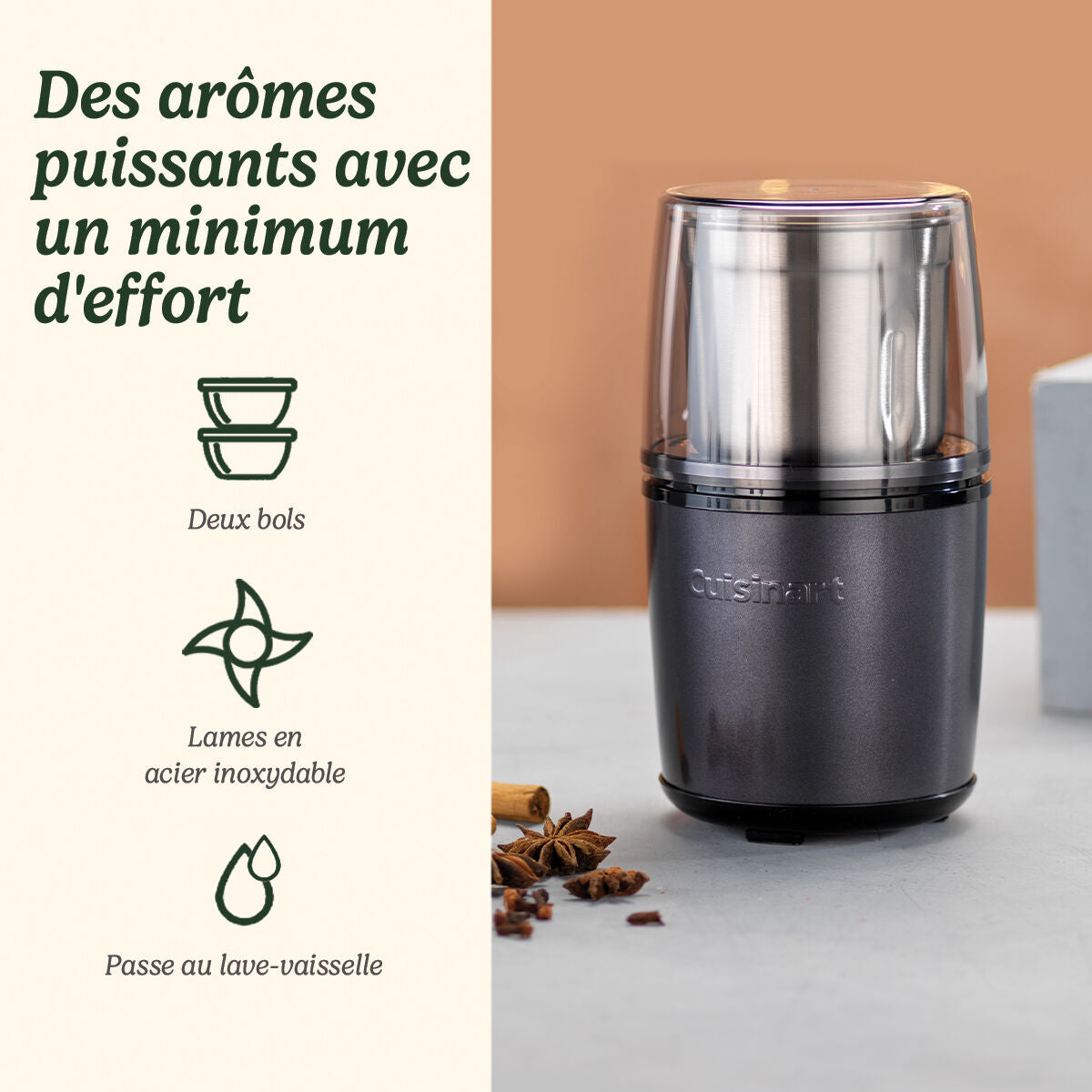 Cuisinart SG21BE Electric Compact Spice Grinder Stainless Steel