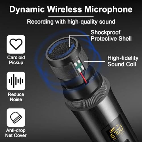 ALPOWL WXM-001 Professional Dual Wireless Microphone with Receiver