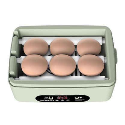 6-Egg Automatic Poultry Incubator with Temperature and Humidity Control