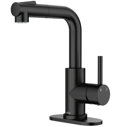 Matte Black Bar Sink Faucet with Pull-Out Sprayer