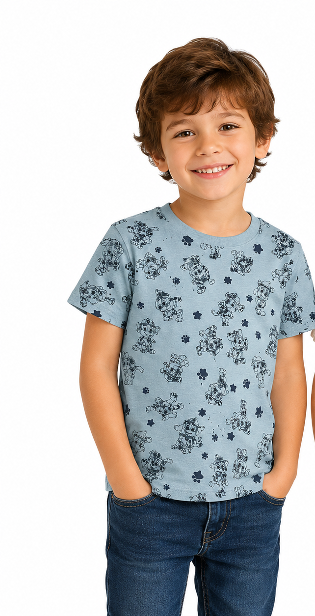 nickelodeon PAW Patrol Kids T-Shirts 100% Cotton – 2 Pack