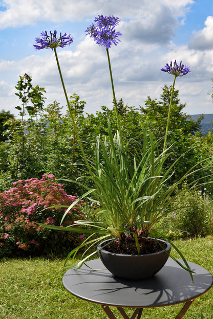 Durable Basalt'UP Concrete Effect Planter Bowl, 30cm Diameter, 5.5L Capacity