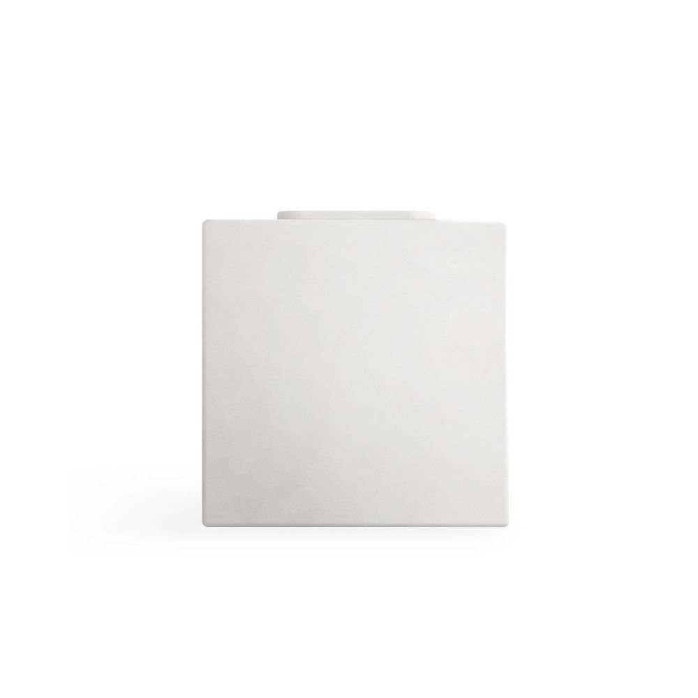 https://cdn.shopify.com/s/files/1/0905/1288/products/brain-f.jpg?v=1778138809