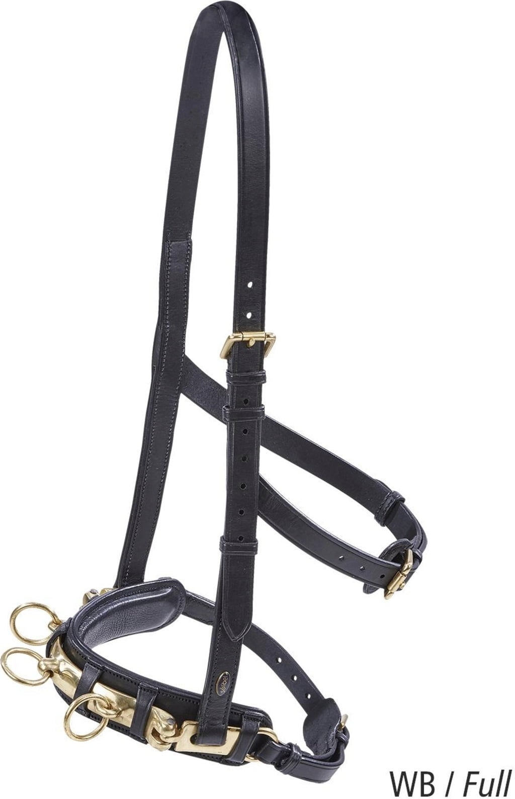 BUSSE Professional Adjustable Leather Cavesson Bridle for Lunging & Training