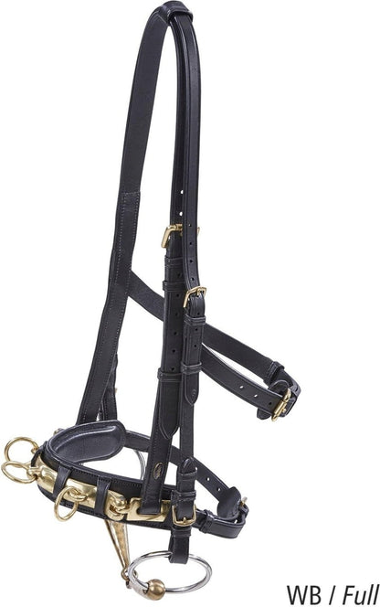 BUSSE Professional Adjustable Leather Cavesson Bridle for Lunging & Training