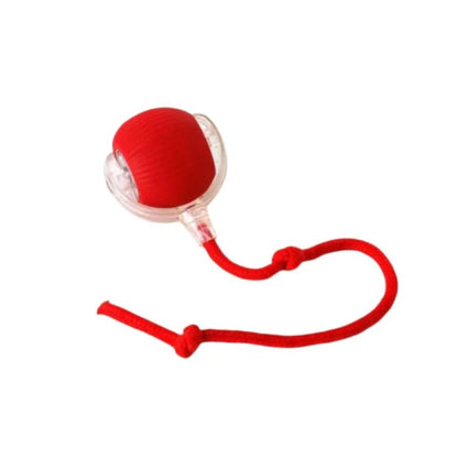 ZEEJAY Interactive Smart Cat Ball Toy