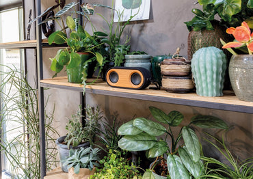 Sustainable Bamboo X Dual Bluetooth Speaker with 10W Sound, 6-Hour Battery