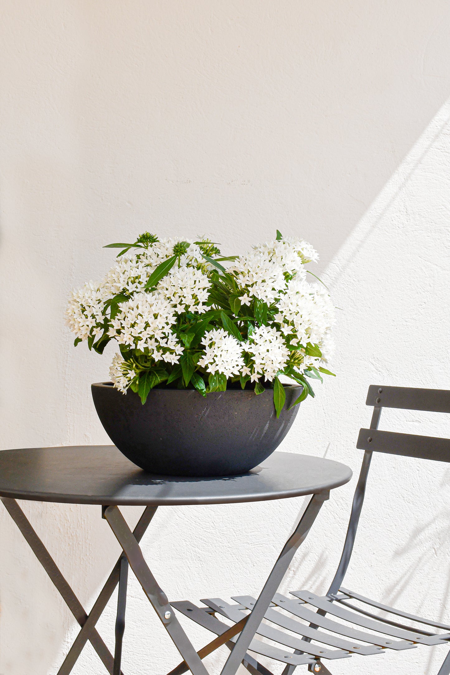 Durable Basalt'UP Concrete Effect Planter Bowl, 30cm Diameter, 5.5L Capacity