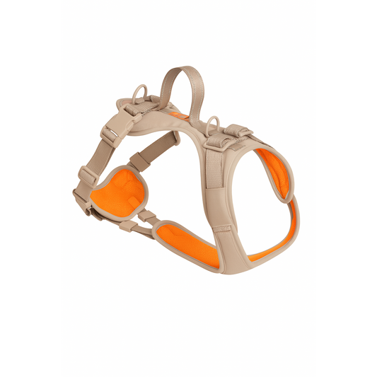 Premium Dog Harness for Comfortable Walks, Training, and Outdoor Adventures