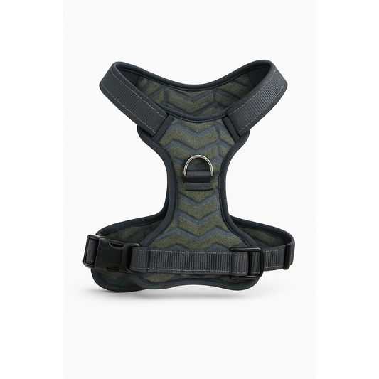 Dog harness with chevron pattern on a white background