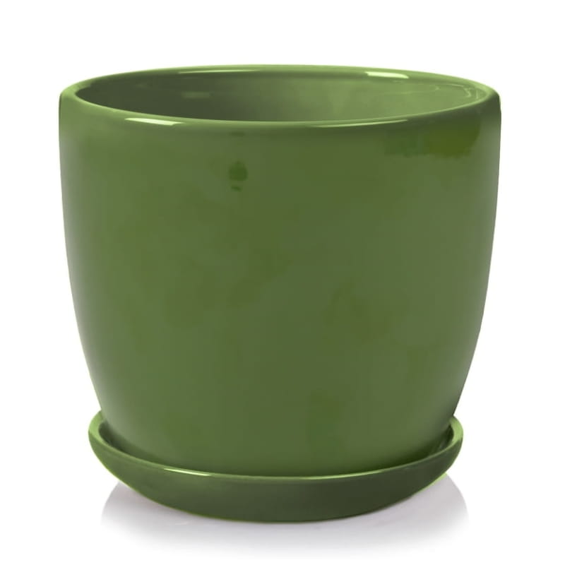 Elegant Polnix Amsterdam 5.1-inch Ceramic Pot with Saucer - Dark Green