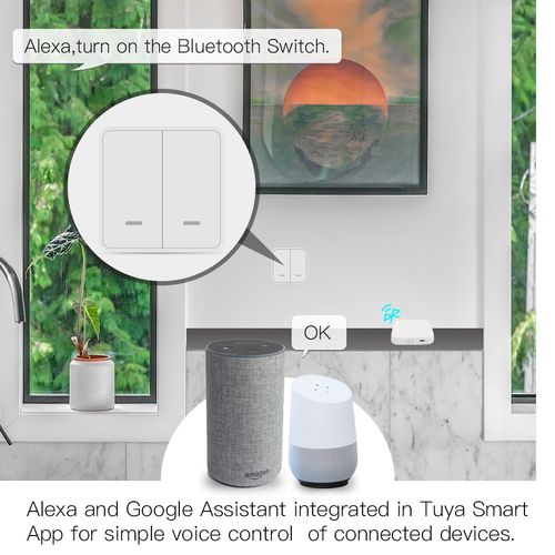 MOES Bluetooth Wi-Fi Bridge HUB BHUB-W-MS