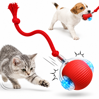 P02 Automatic Rolling Ball Toy for Dogs and Cats