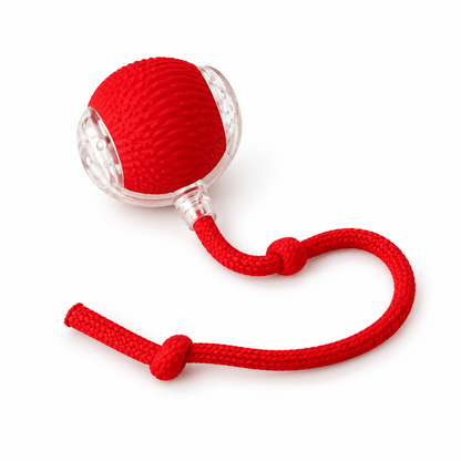 P02 Automatic Rolling Ball Toy for Dogs and Cats