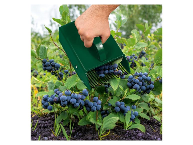 PARKSIDE Berry Picker Garden Sieve Universal Tray Drying Net