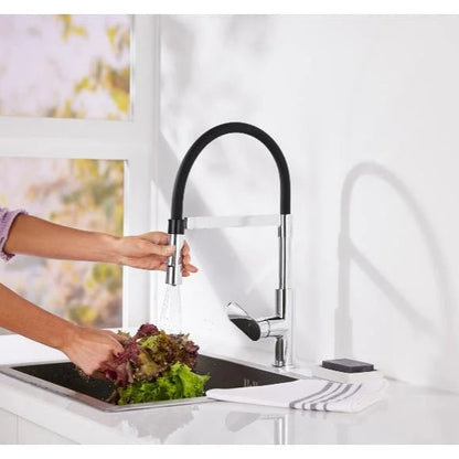 LIVARNO Home Kitchen Faucet with Dual Pull-Out Spray Feature