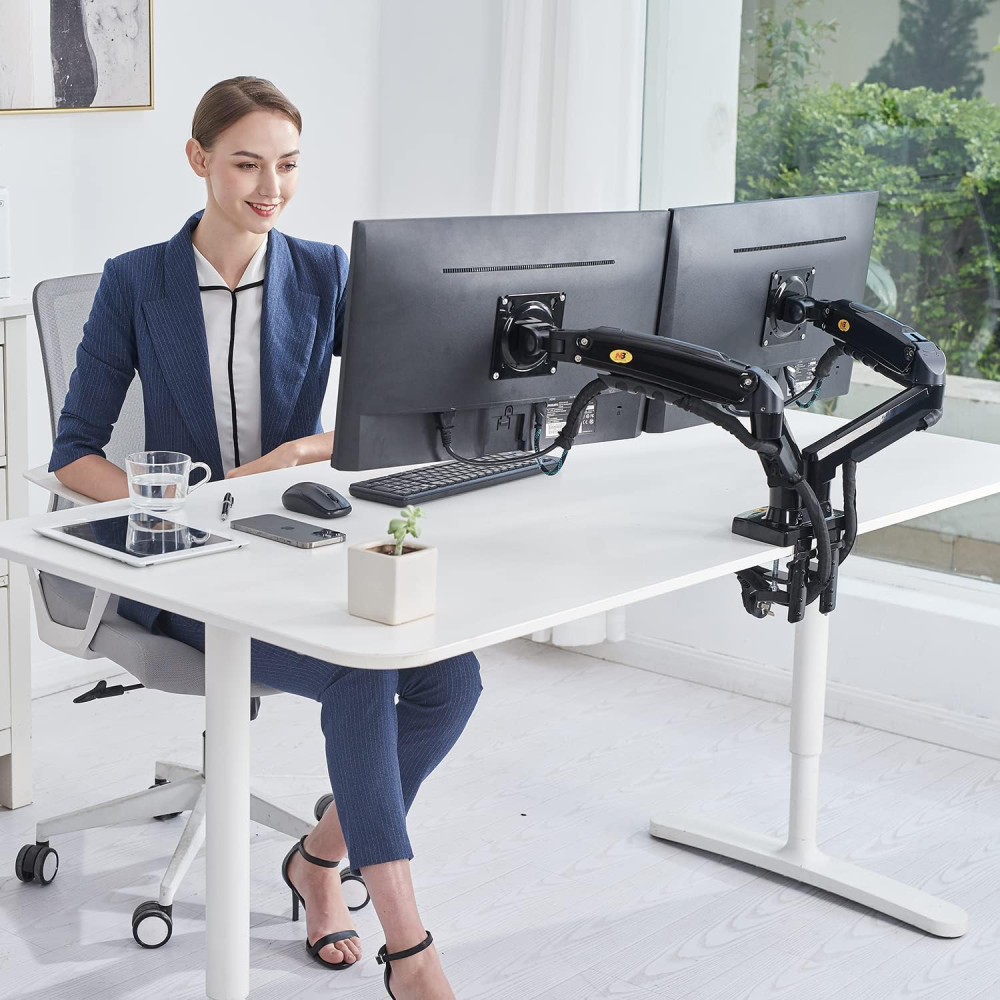 North Bayou F160 Dual Monitor Desk Mount Stand