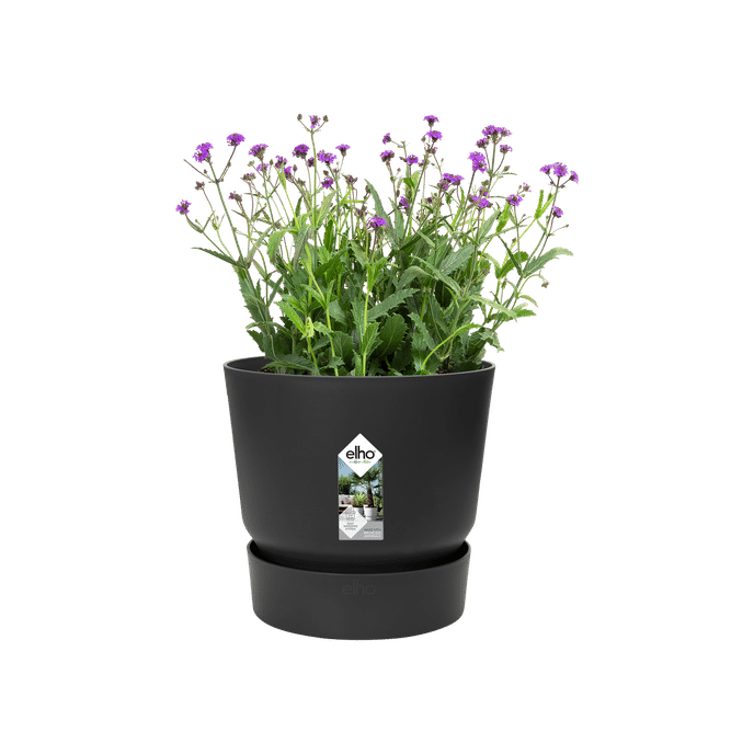 Elho Greenville Round 16cm Living Black Self-Watering Recycled Plastic Flower Pot