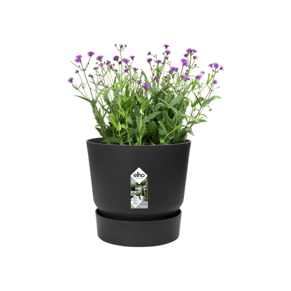 Elho Greenville Round 16cm Living Black Self-Watering Recycled Plastic Flower Pot