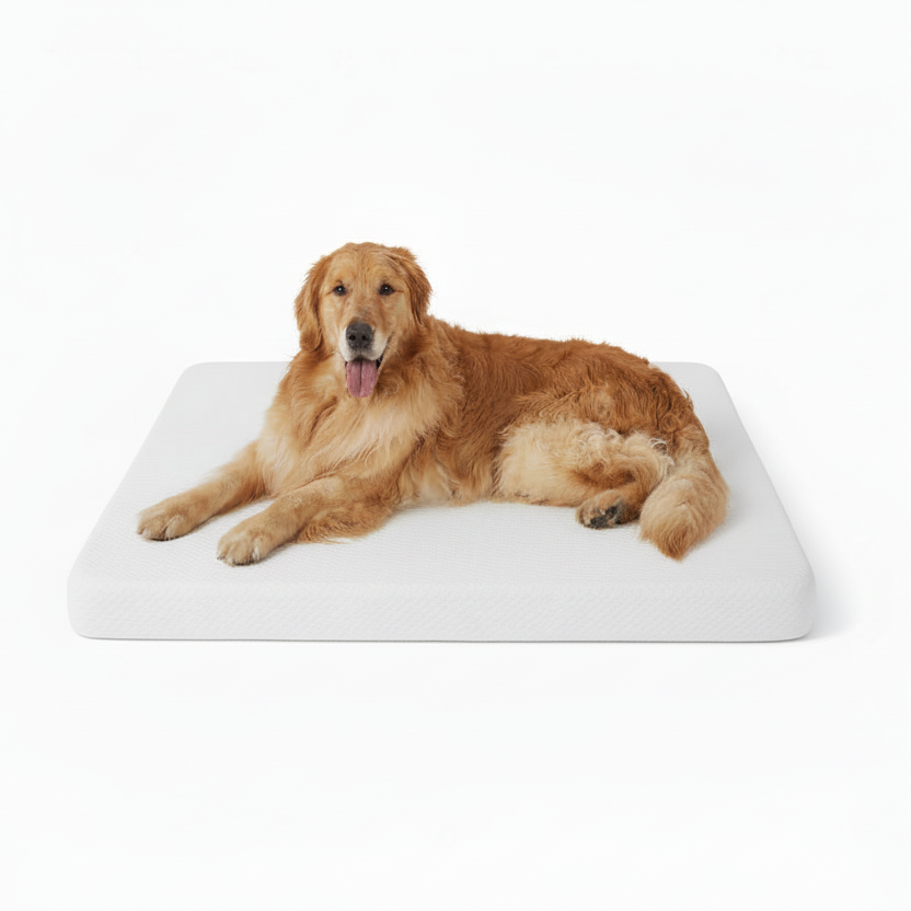 LE SURE Dog Bed Memory Foam Orthopedic Crate Mattress