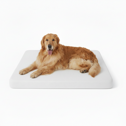 LE SURE Dog Bed Memory Foam Orthopedic Crate Mattress