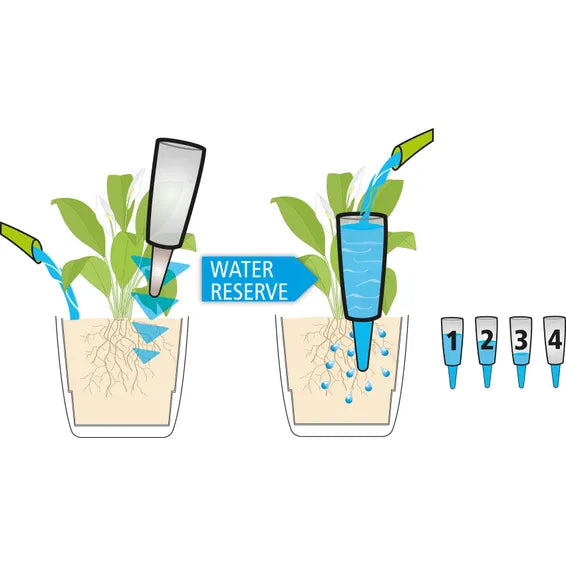 Scheurich  Water Reservoir for Plant Care