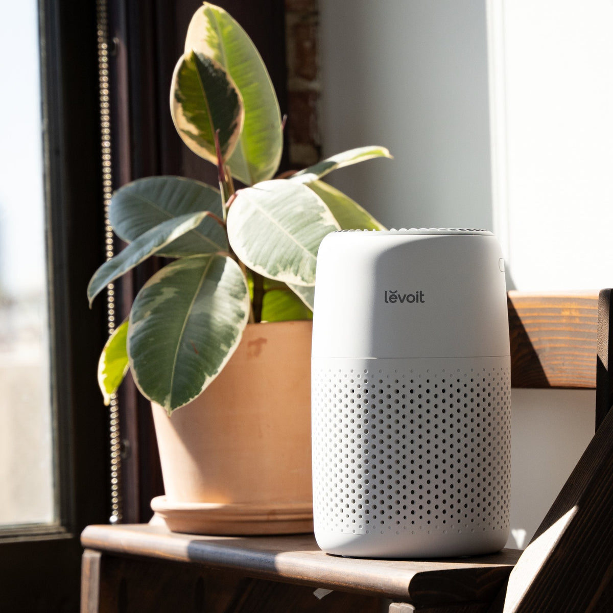 Levoit Core Mini-P Air Purifier
