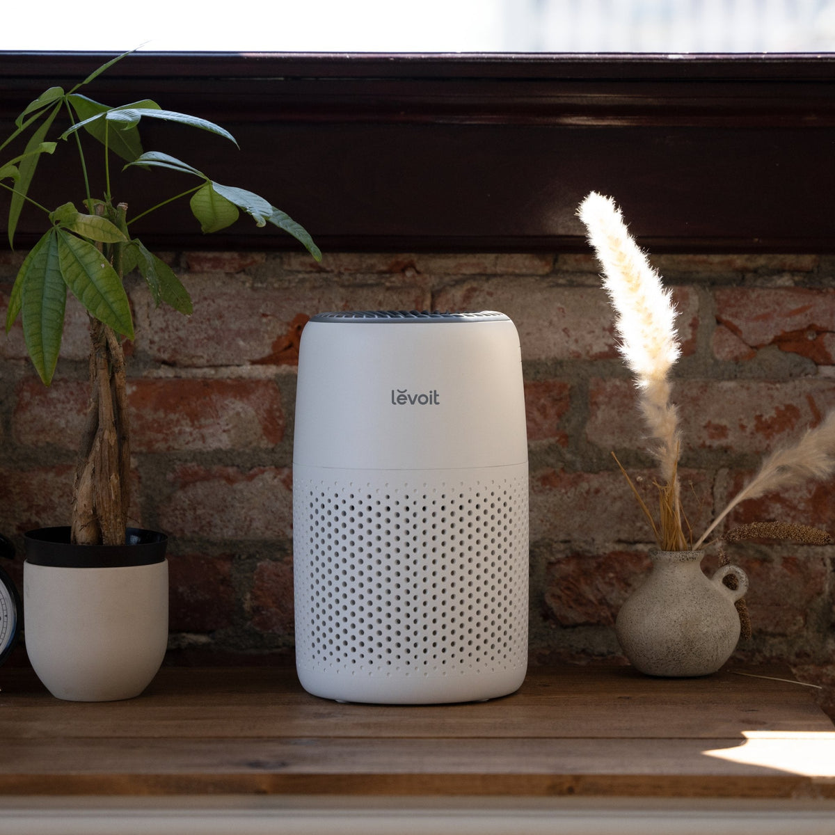 Levoit Core Mini-P Air Purifier