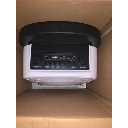 Rockjam Portable Bluetooth Karaoke Party Speaker with Dual Mics & Disco Lights - Gomix Brands Outlet