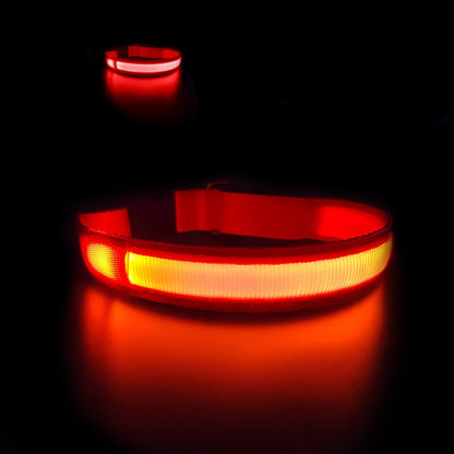 https://cdn.shopify.com/s/files/1/0686/7766/5056/files/masbrill-rechargeable-waterproof-light-up-dog-collar-4160348.jpg?v=1752059668