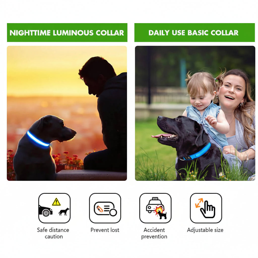 MASBRILL Rechargeable Waterproof Light-Up Dog Collar