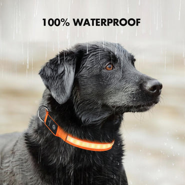 https://cdn.shopify.com/s/files/1/0686/7766/5056/files/masbrill-rechargeable-waterproof-light-up-dog-collar-5147210.jpg?v=1752059668