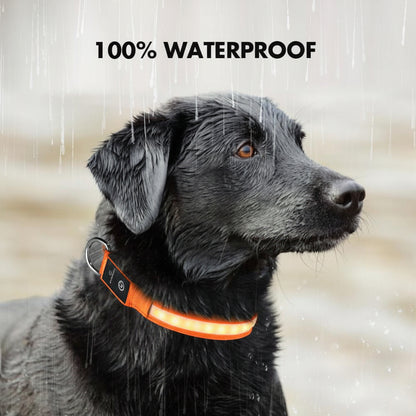 https://cdn.shopify.com/s/files/1/0686/7766/5056/files/masbrill-rechargeable-waterproof-light-up-dog-collar-5147210.jpg?v=1752059668
