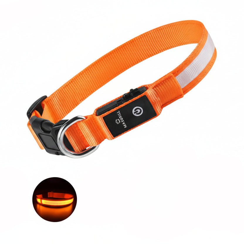 https://cdn.shopify.com/s/files/1/0686/7766/5056/products/masbrill-rechargeable-waterproof-light-up-dog-collar-8820597.jpg?v=1752059667