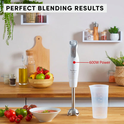 Moulinex Daily Chef DD551110 Hand Blender 600W