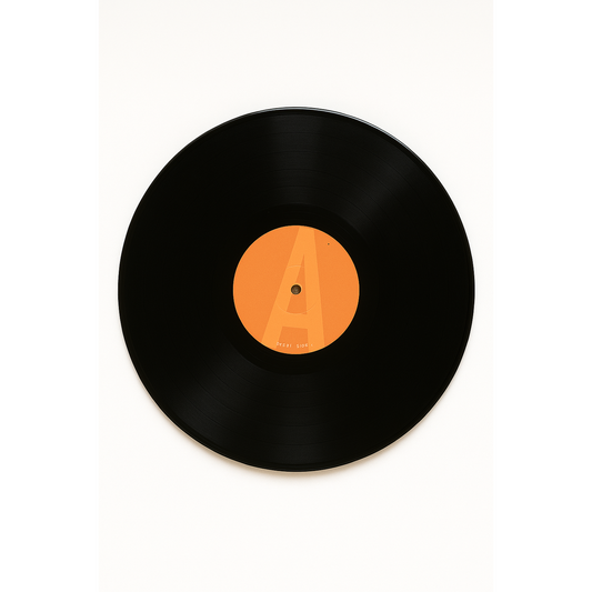 Make A Move - Bidde Vinyl LP, Hip Hop Funk Pop Music