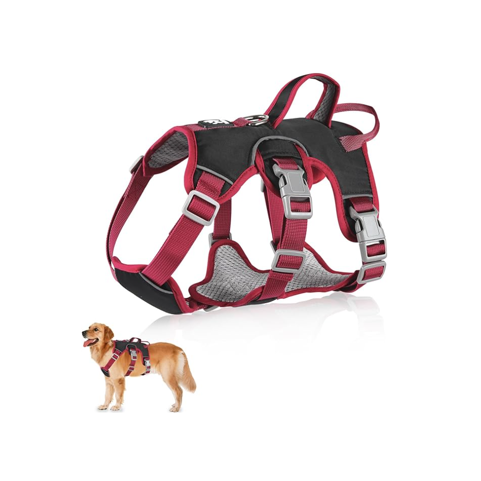 Dog harness and leash set on a white background
