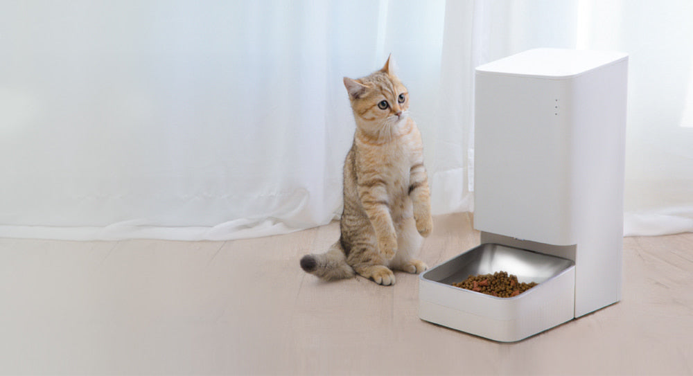 https://mi-store.pl/data/include/cms/mrozny/productsWebp/2144-miSmartPetFoodFeeder/rpc/assets/img/section-01.jpg