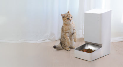https://mi-store.pl/data/include/cms/mrozny/productsWebp/2144-miSmartPetFoodFeeder/rpc/assets/img/section-01.jpg