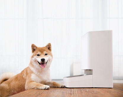 https://mi-store.pl/data/include/cms/mrozny/productsWebp/2144-miSmartPetFoodFeeder/rpc/assets/img/section-12.jpg